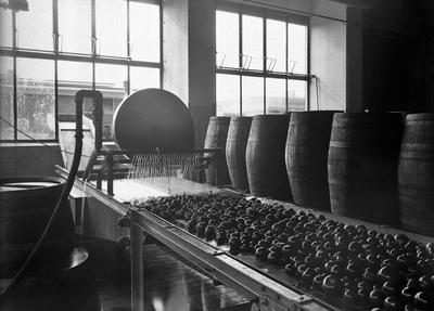 129845 Afbeelding van een sproeiinstallatie voor fruit bij Winterzon Conserven N.V. (Veilingstraat 2) te Utrecht.N.B. ...